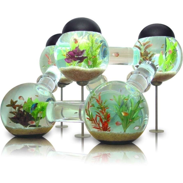 aquarium-design-interessante