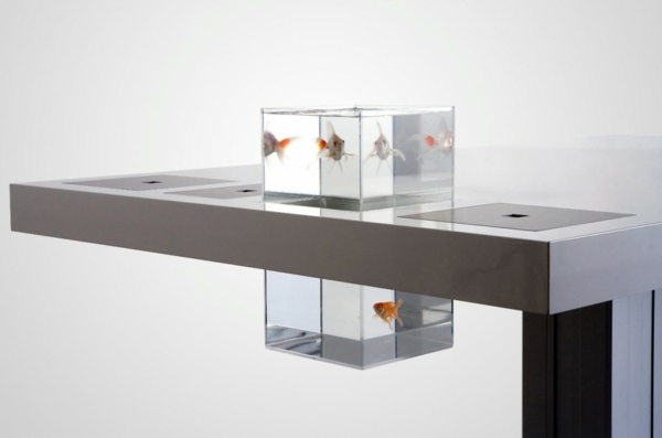 aquarium-design-simple-bureau