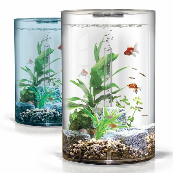aquarium-design-simple-poissons-et-plantes