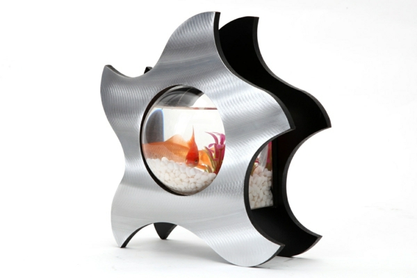 petit-aquarium-design-comme-une-étoile
