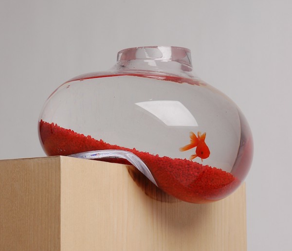 petit-aquarium-design-étonnant