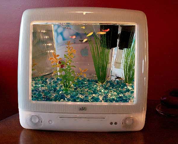 petit-aquarium-design-téléviseur