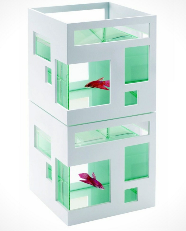 petit-aquarium-design-hôtel