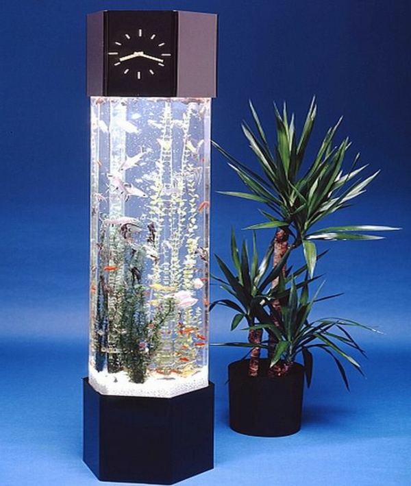 petit-aquarium-design-un-horloge