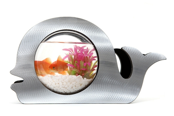 petit-aquarium-design-poisson