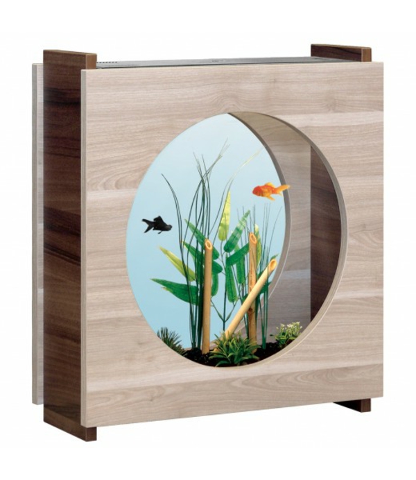 petit-aquarium-design-en-bois-et-verre