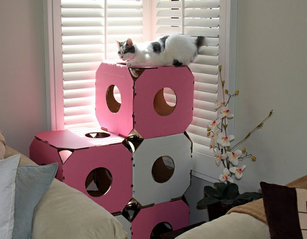 maisonnette-pour-chat-design-adorable-modulaire