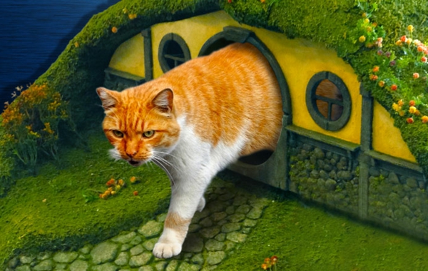 maisonnette-pour-chat-une-maison-de-hobbit