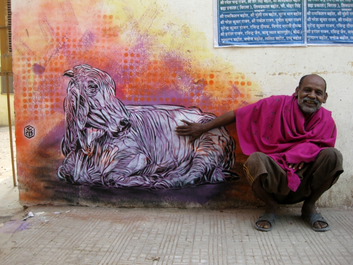 Street-artiste-rue-pochoiriste-C215-animaux-chat-a-cool
