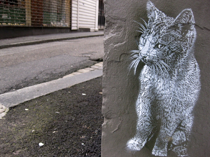 Street-artiste-rue-pochoiriste-C215-animaux-chat-animal