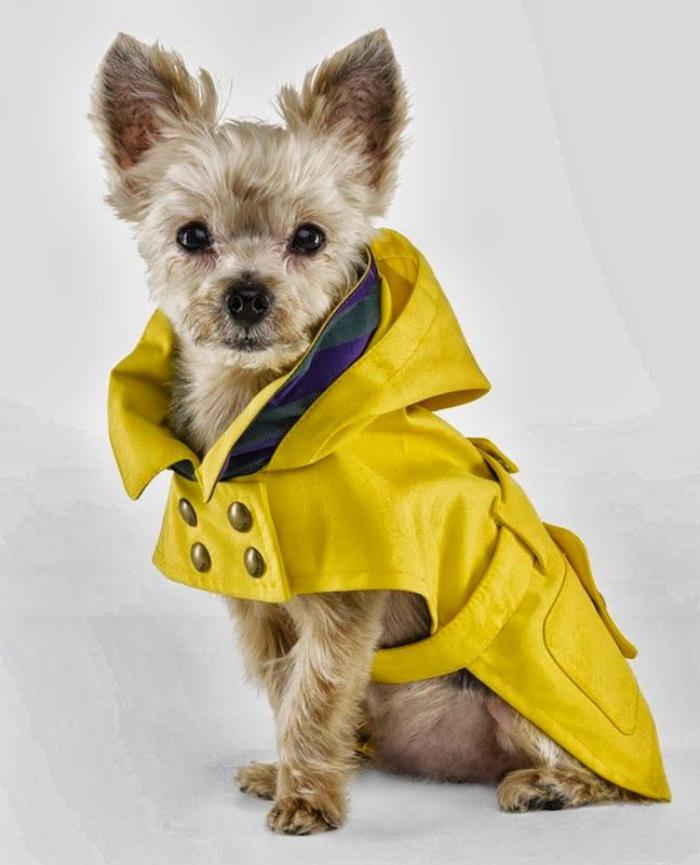 manteau-pour-chien-joli-manteau-de-pluie-pour-chien