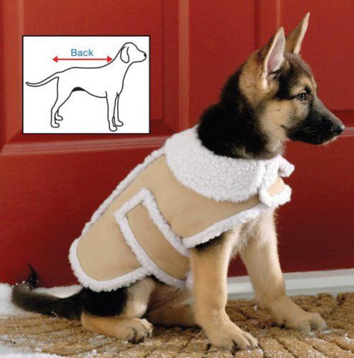 manteau-pour-chien-mode-pour-chiens-accessoires-d'animaux