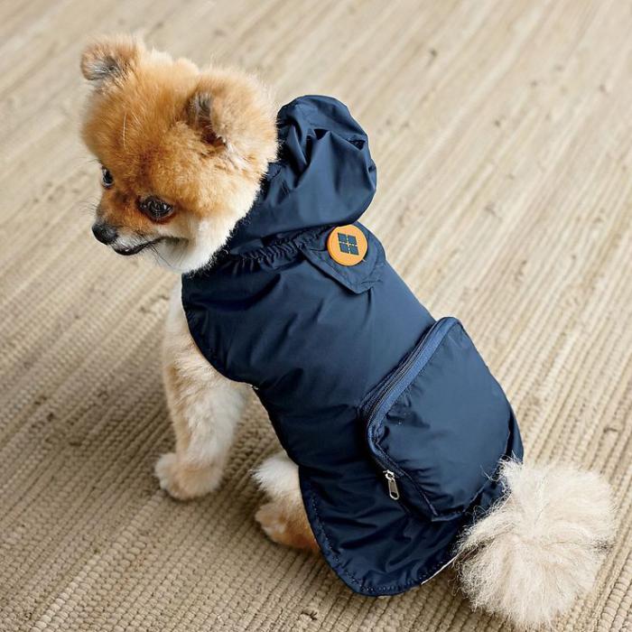 manteau-pour-chien-mode-pour-chiens-originale