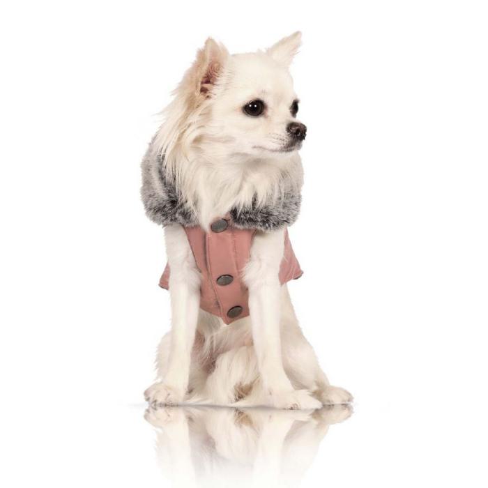 doudoune-pour-chien-petit-chien-blanc-avec-doudoune-rose-et-gris