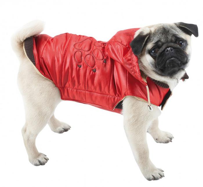 doudoune-pour-chien-rouge-manteau-d'hiver-chien