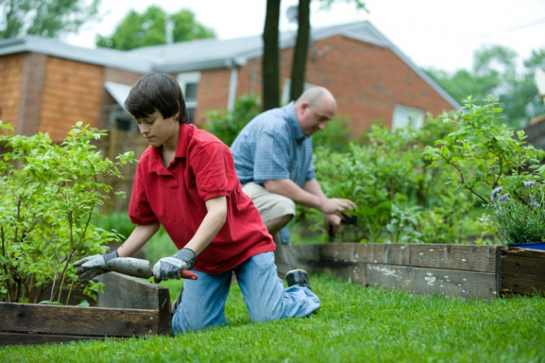 Que faire au jardin en février Astuces pour planter des fleurs et des