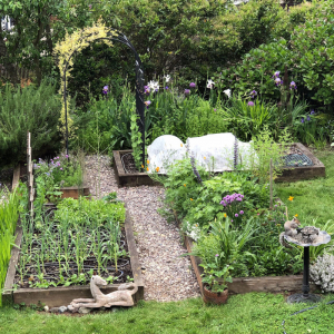 Que Planter En Avril Au Potager Le Guide Complet Archzine Fr