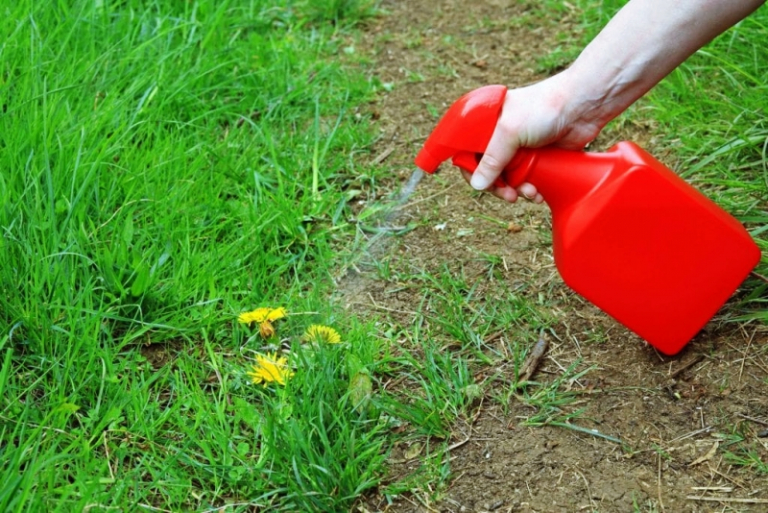 Que Mettre Au Sol Pour Viter Les Mauvaises Herbes Astuces Efficaces