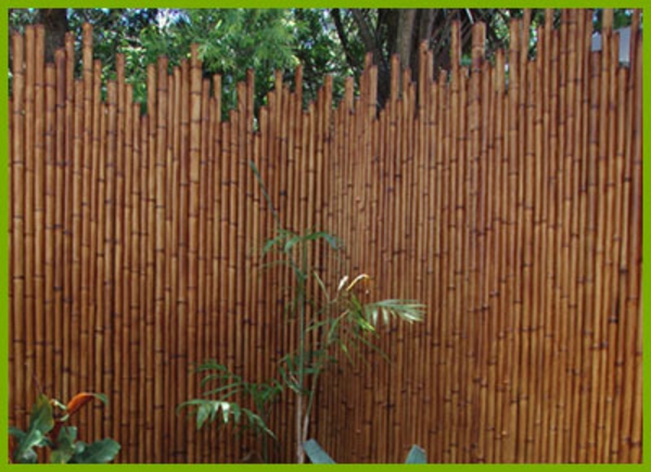 bamboo-clôture-pour-jardin