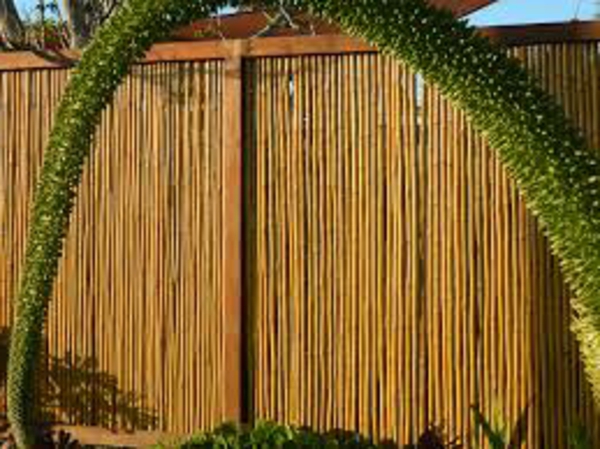 idée-pailisade-bamboo-de-jardin-unique