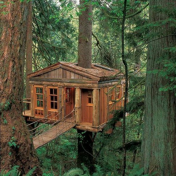 cabane-dans-les-arbres-bois