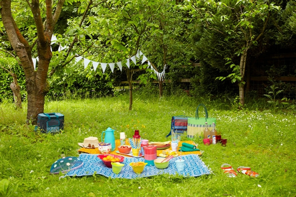Park Picnic - picnic items on grass