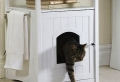 Pour le chat domestique – elle a aussi besoin de logement