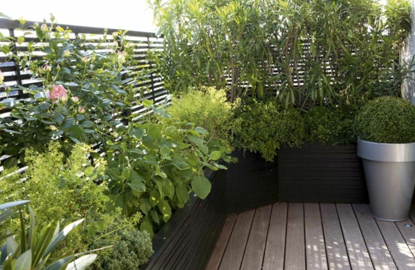 plantes-grimpantes-balcon-verts-resized