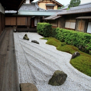 Des plantes originales pour le jardin zen
