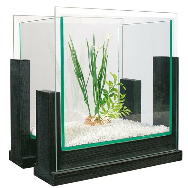 77 Koleksi Design Aquarium Simple Gratis Terbaik