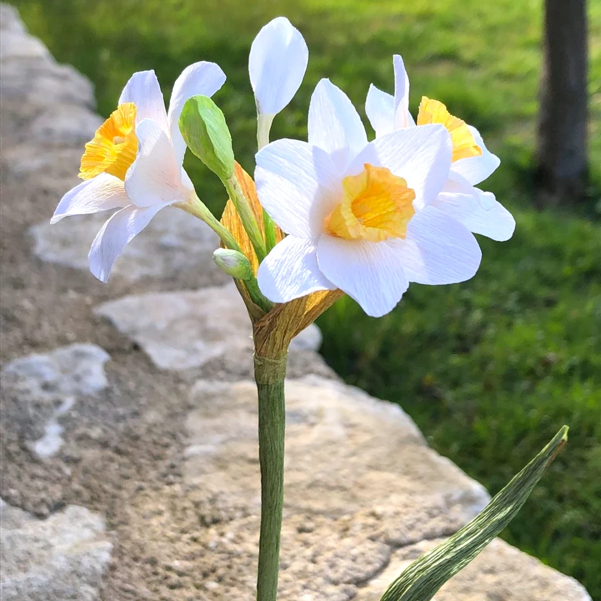 fiche technique fleur en papier crepon fleurs blanches