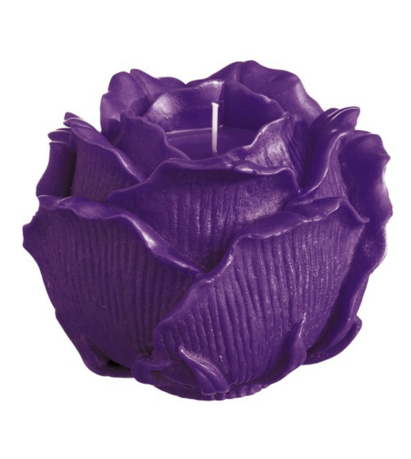 rose-photophore-violette