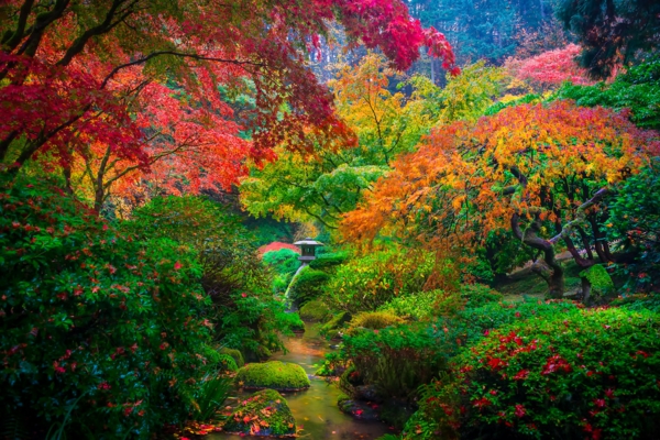jardin-japonais-Portland-Oregon