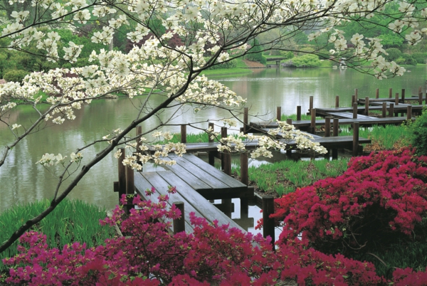 jardin-japonais-couleurs-splendides