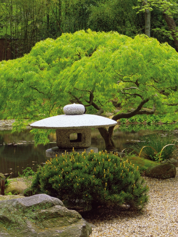 jardin-japonais-et-des-arbres-magiques