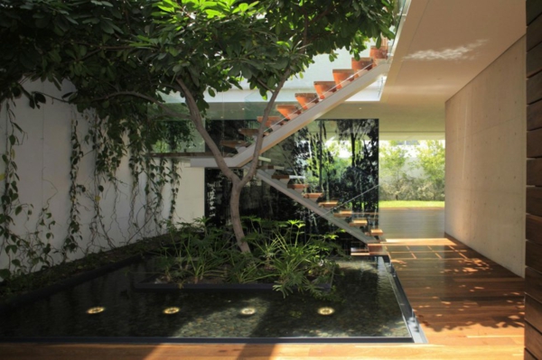 jardin-japonais-près-d'un-escalier-intérieur