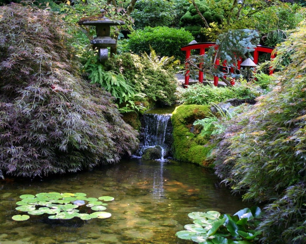 jardin-japonais-sérénité-et-une-chute-d'eau