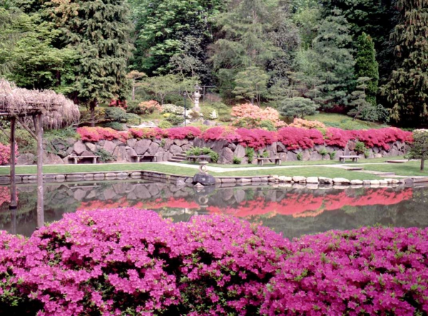 jardin-japonais-très-joli