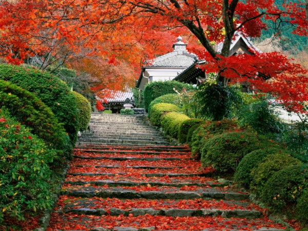 jardin-japonais-un-escalier-à-Kyoto