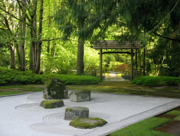 jardin-japonais-un-forêt