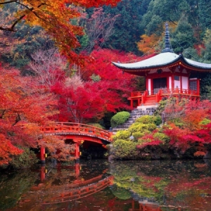 Le jardin japonais - encore 49 photos de jardin zen