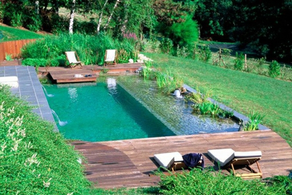 magnifique-piscine-naturelle-de-reve-rectangulaire-avec-terrasse-