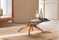 La table basse ovale – variantes modernes d’un meuble classique