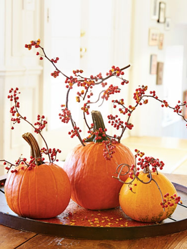 citrouille-de-halloween-décoration-avec-es-branches
