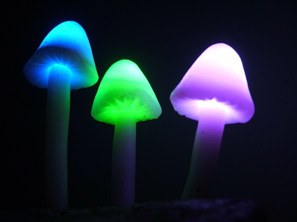 lampe-champignon-trois-lampes-miraculeuses