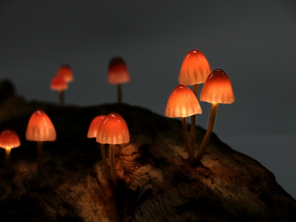 lampe-champignon-réalistique