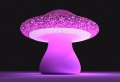 La magie de la lampe champignon