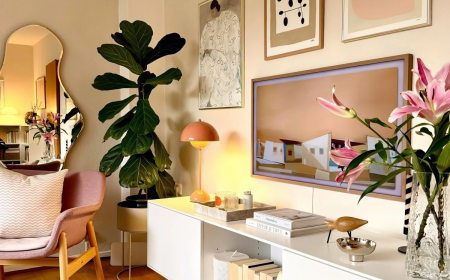 miroir forme abstraite rangement meuble tv livres plante verte