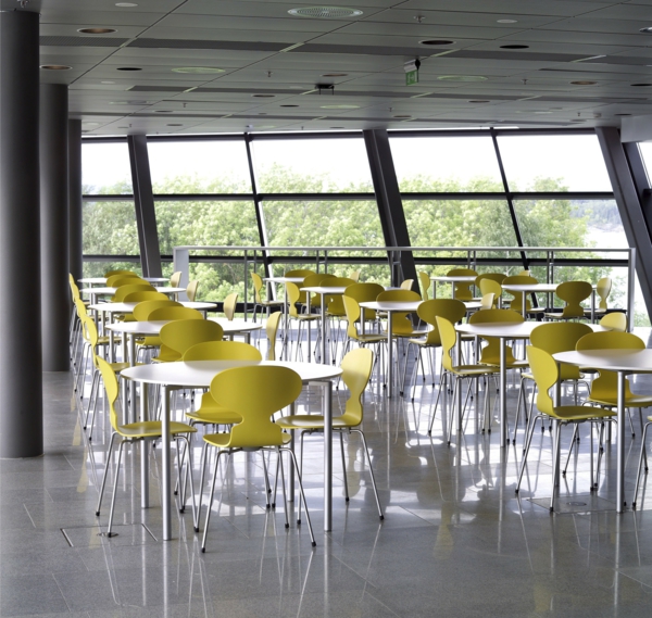 chaise-fourmi-chaises-jaunes-fourmi-dans-une-cantine