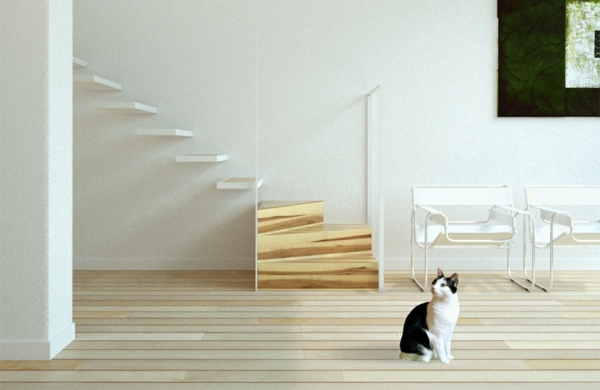 escalier-flottant-plzncher-en-bois-et-un-chat-domestique
